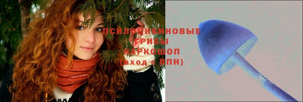 каннабис Алексеевка