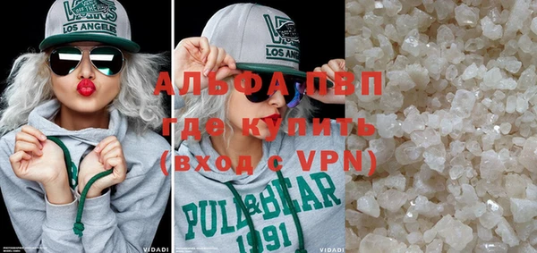 индика Алексин