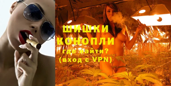 ГАЛЛЮЦИНОГЕННЫЕ ГРИБЫ Алзамай