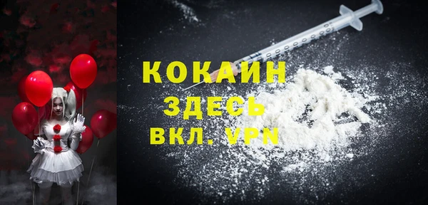 индика Алексин