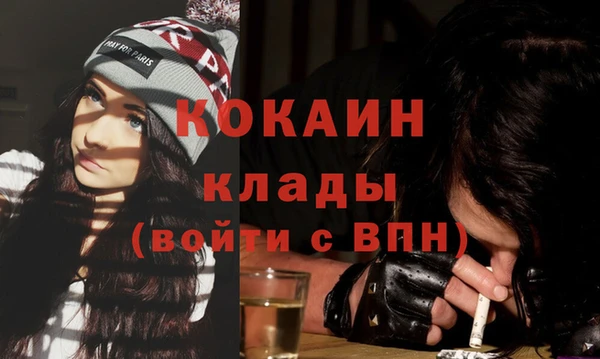 индика Алексин