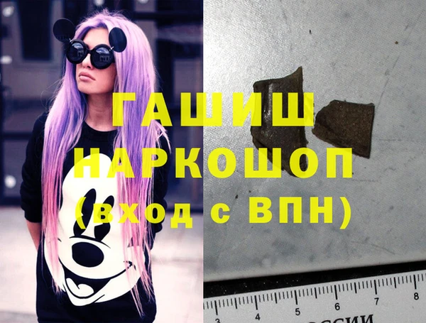 индика Алексин